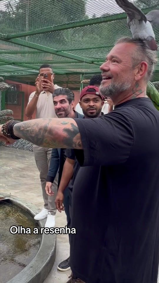 TikTok video thumbnail by eugostumm_oficial