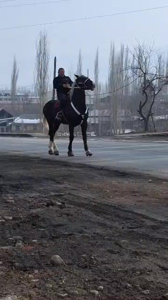 TikTok video thumbnail by user993196061523
