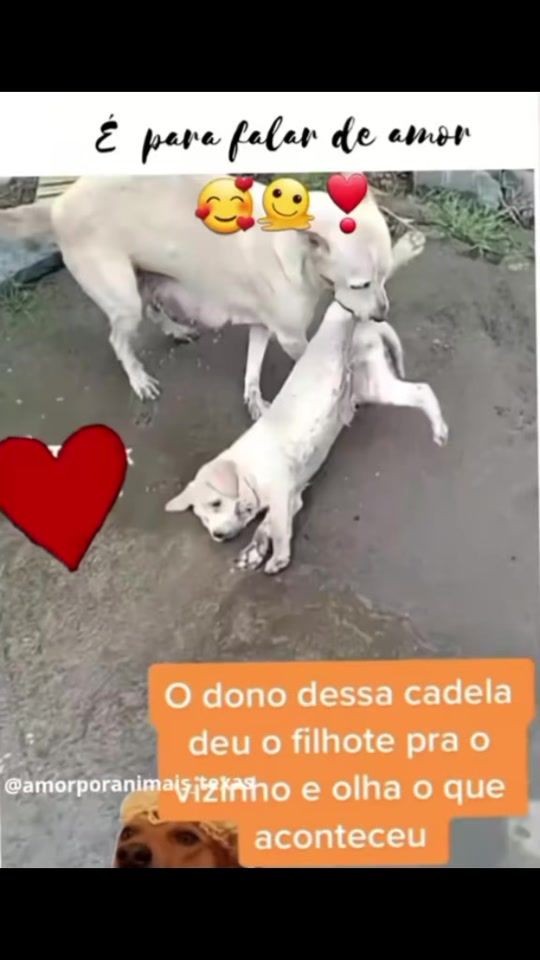 TikTok video thumbnail by tatamendonca_ofc85