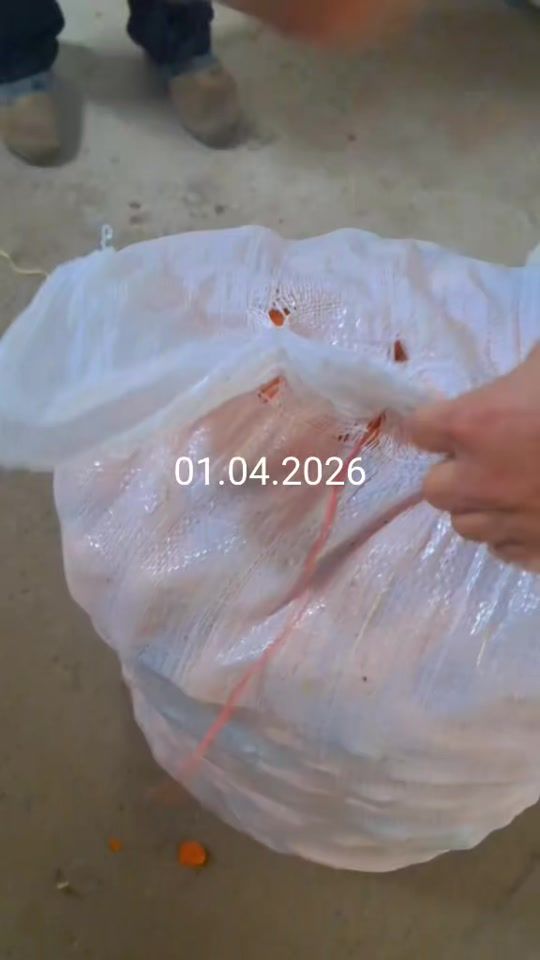 TikTok video thumbnail by user5043666404824