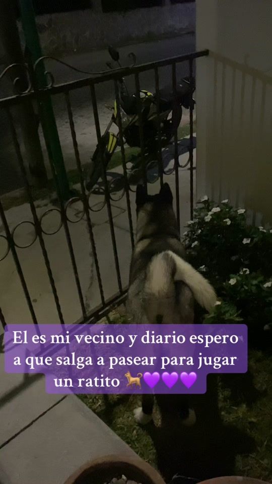 TikTok video thumbnail by zoraidaalejo