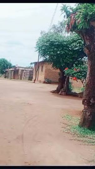 TikTok video thumbnail by cefmaniga6469