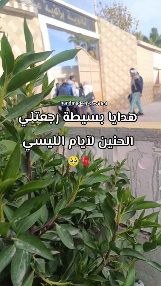 TikTok video thumbnail by wided20217