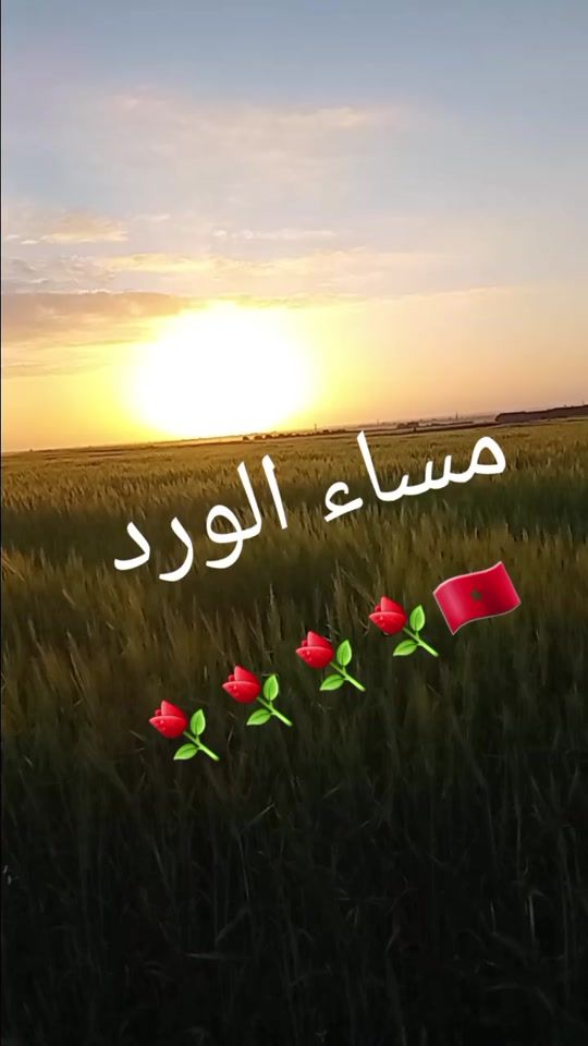TikTok video thumbnail by sabahlaouinatt