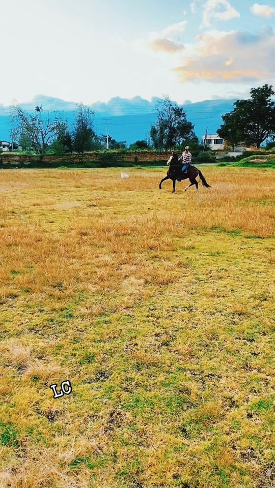 TikTok video thumbnail by leninc.222