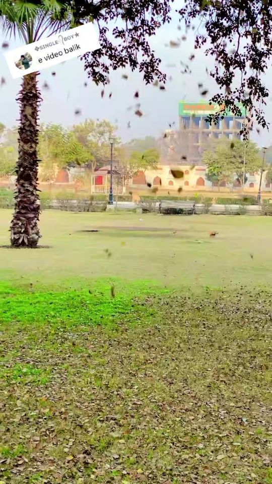 TikTok video thumbnail by shakeeb6294