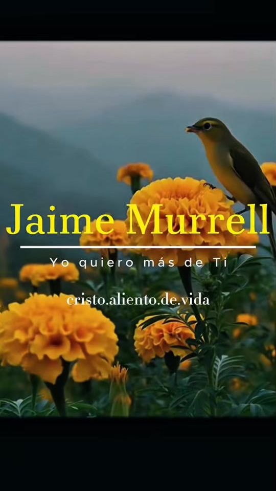 TikTok video thumbnail by cristo.aliento.de.vida