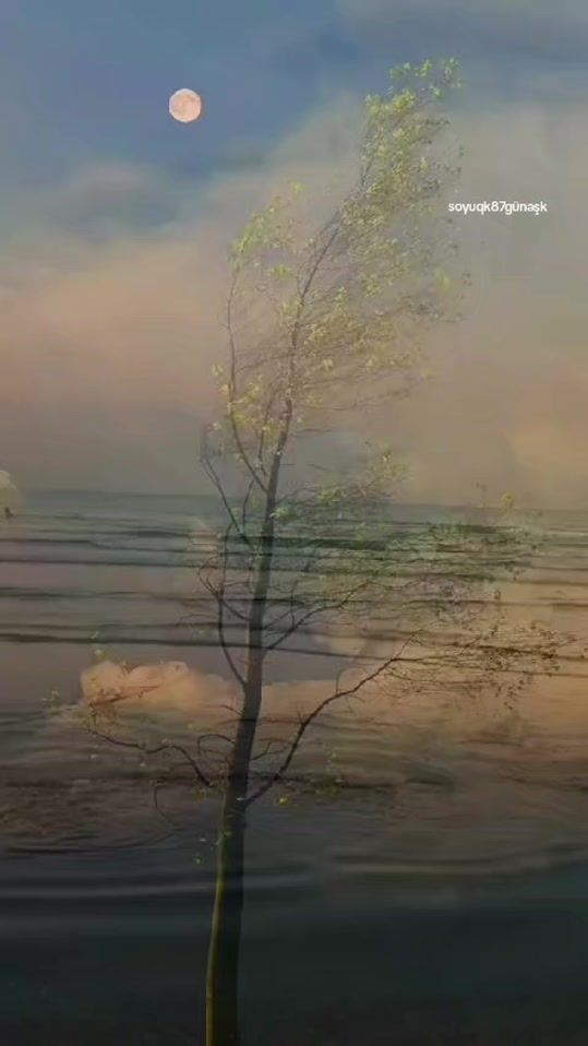 TikTok video thumbnail by soyuqkgunesk
