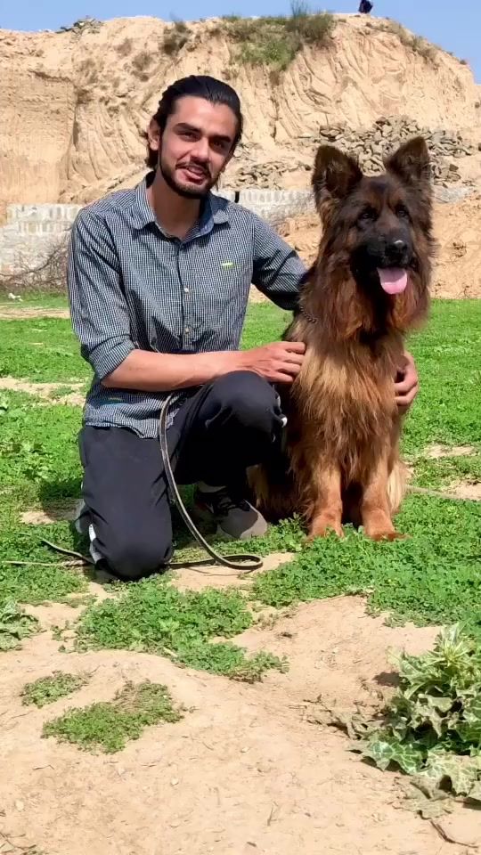 TikTok video thumbnail by afaqchaudhry567