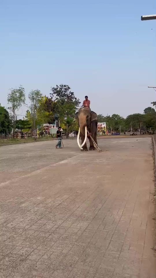 TikTok video thumbnail by tiiwlysuchada