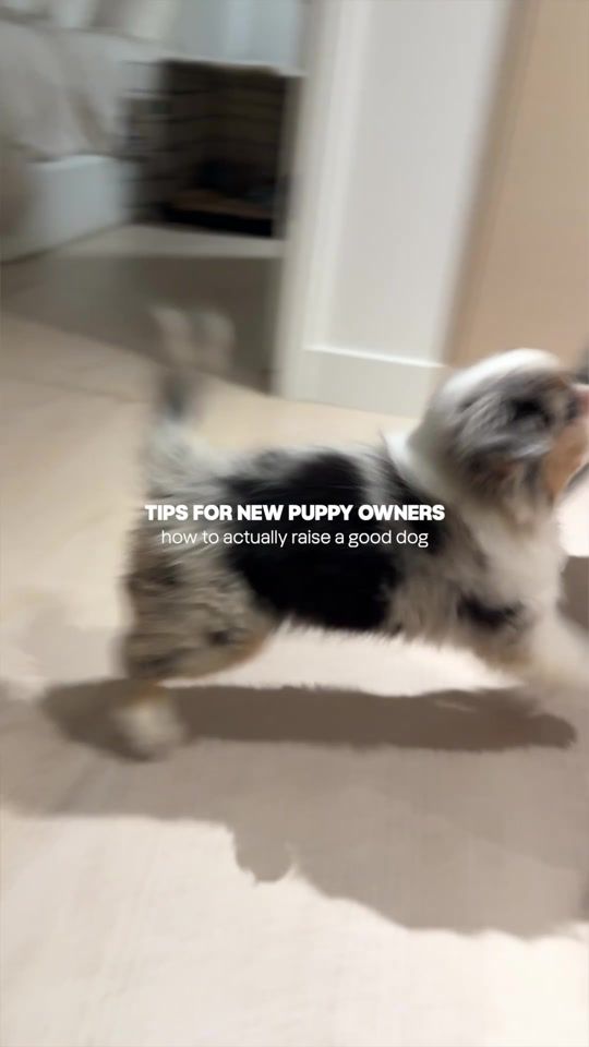 TikTok video thumbnail by drew.hallgrimson