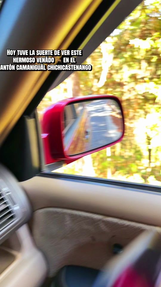 TikTok video thumbnail by eddyguarcas