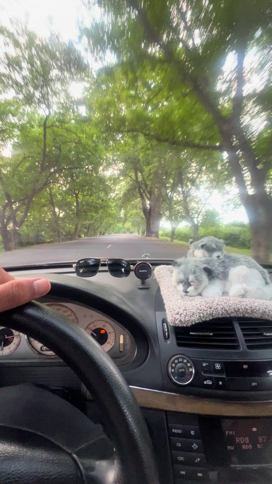 TikTok video thumbnail by celal.027