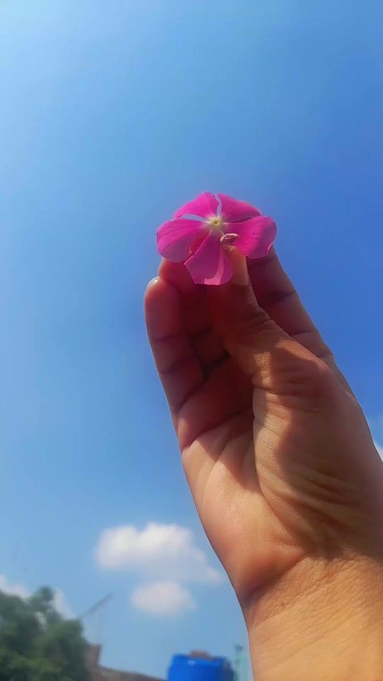 TikTok video thumbnail by anmolpunchi2