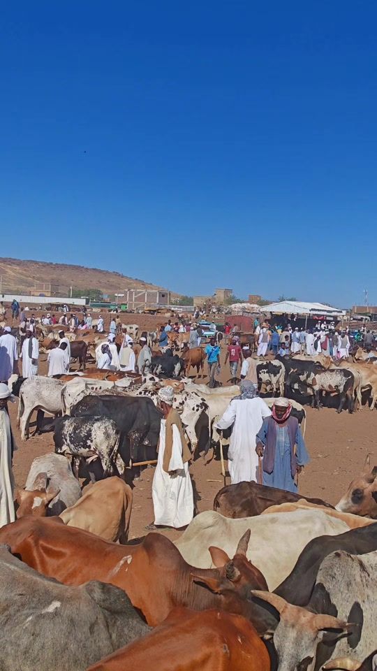 TikTok video thumbnail by nazaralshrif