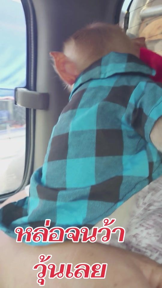 TikTok video thumbnail by dyypozu1kvua