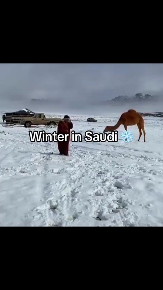TikTok video thumbnail by demntew
