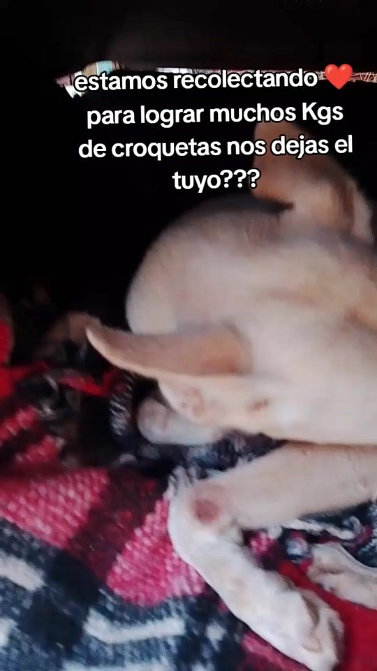 TikTok video thumbnail by adriana_torres_actue