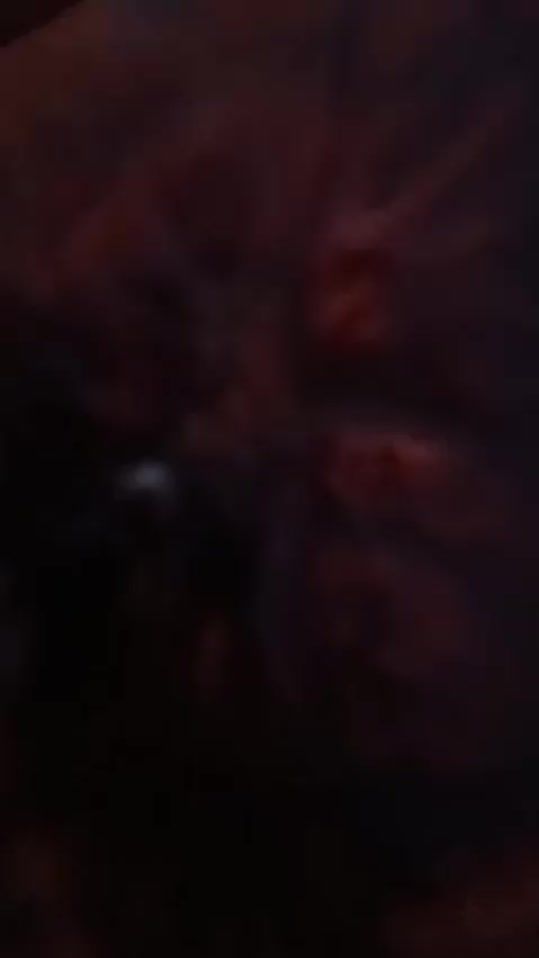 TikTok video thumbnail by ashot19930
