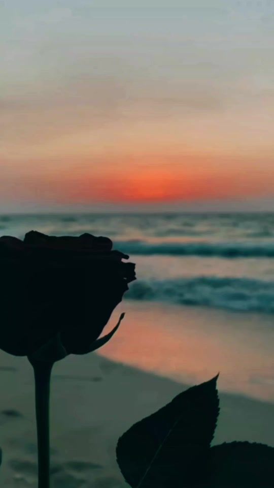 TikTok video thumbnail by _kaf25