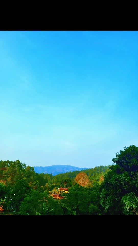 TikTok video thumbnail by carlisr05