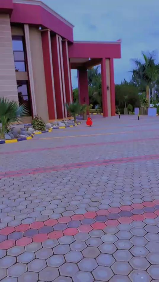 TikTok video thumbnail by albertbyendatv