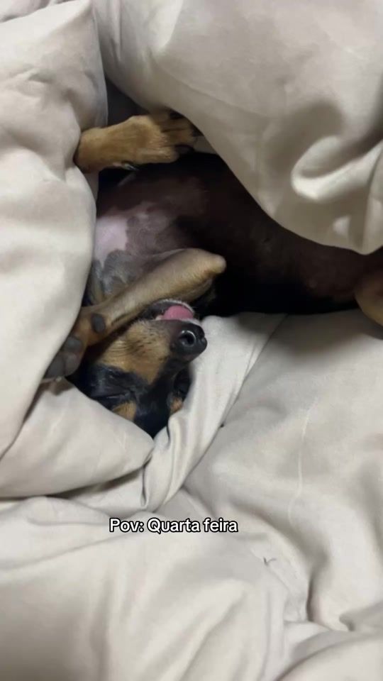 TikTok video thumbnail by danyceno