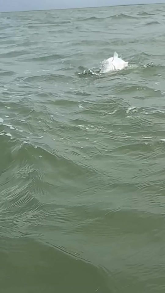 TikTok video thumbnail by rakesh.rambir6