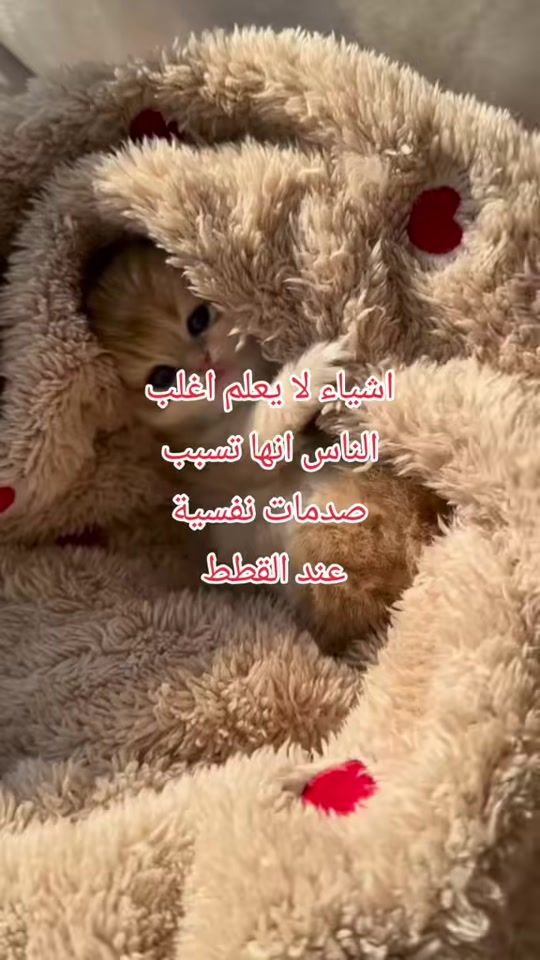 TikTok video thumbnail by leadah29