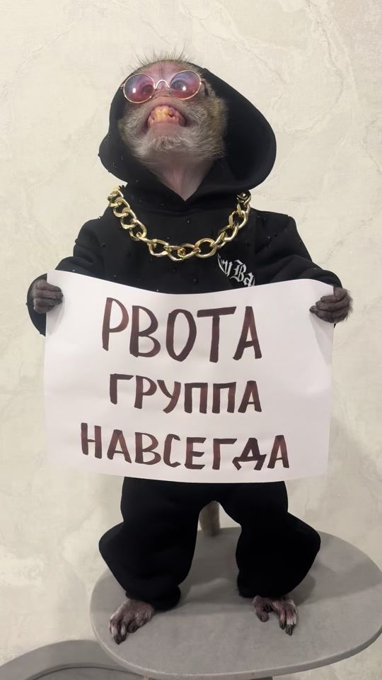 TikTok video thumbnail by samara_monkey_t.me