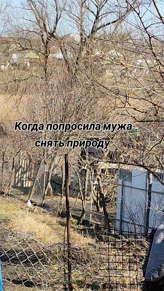 TikTok video thumbnail by khomenko36