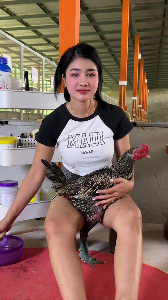 TikTok video thumbnail by areeya_farm_buffalo1