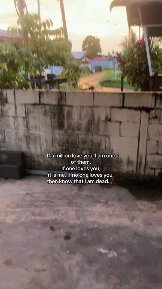 TikTok video thumbnail by _koppig6