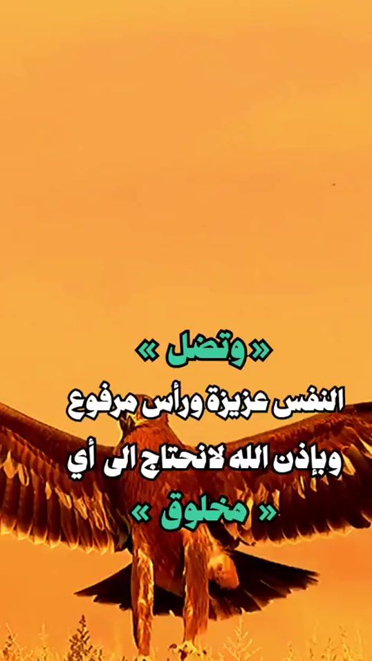 TikTok video thumbnail by user4524680240920