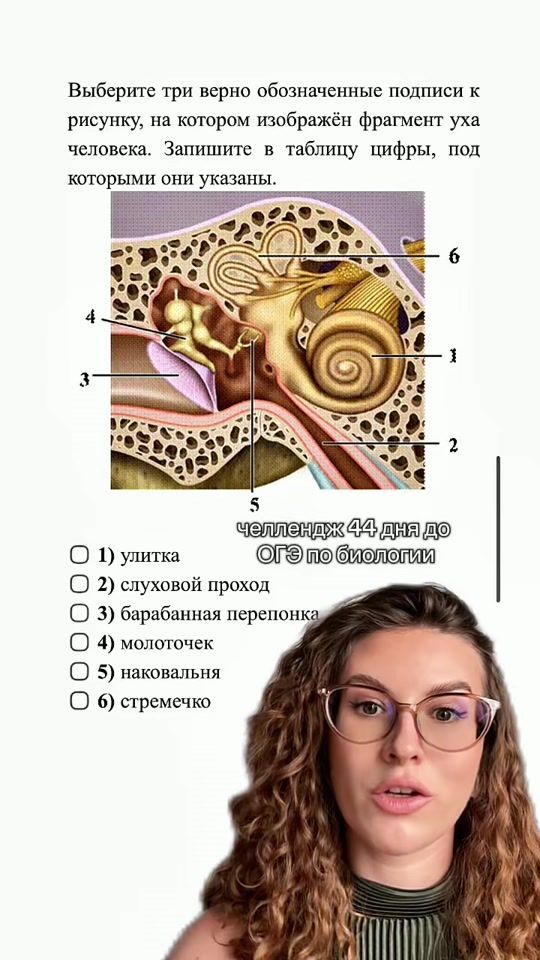 TikTok video thumbnail by margarita.citrus