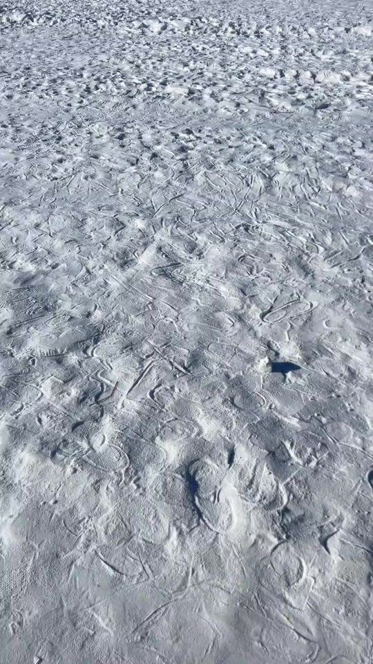 TikTok video thumbnail by mongolia_
