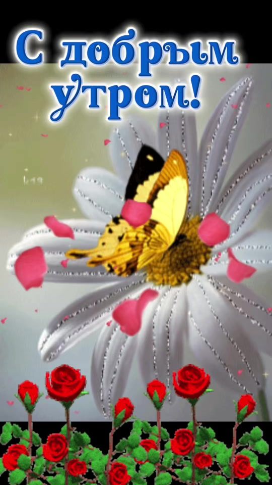 TikTok video thumbnail by alima2024a