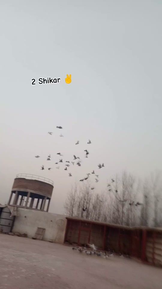 TikTok video thumbnail by msloft06