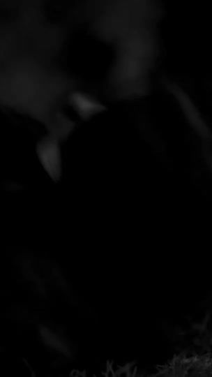 TikTok video thumbnail by esbigl