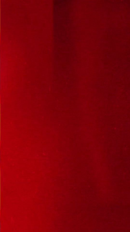 TikTok video thumbnail by stellafifa1