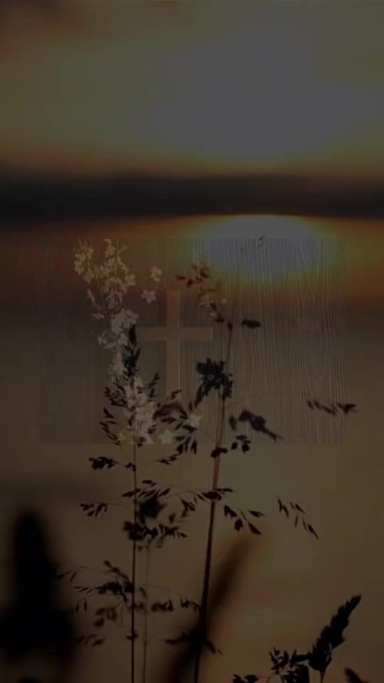 TikTok video thumbnail by fe_es_amor