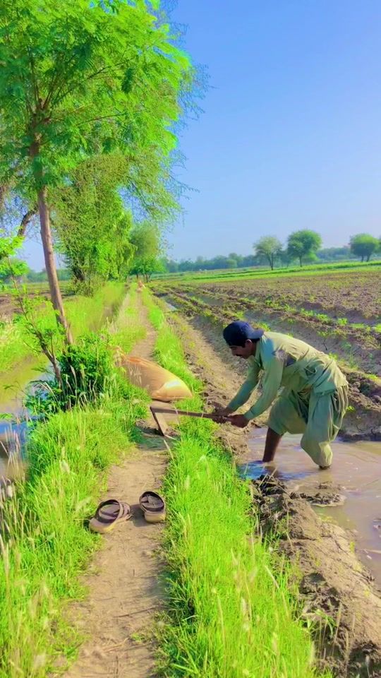 TikTok video thumbnail by farmer4680