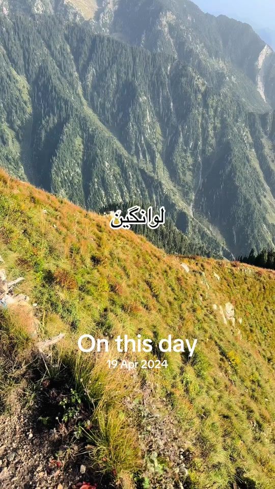 TikTok video thumbnail by wasil268