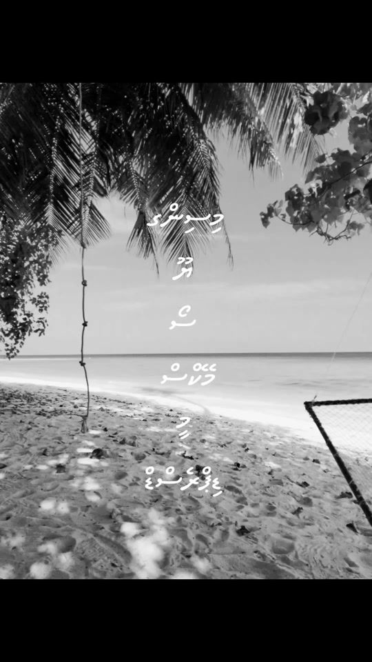 TikTok video thumbnail by xxft.mv