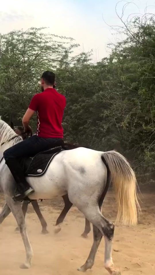 TikTok video thumbnail by ahmadkhuffash.h