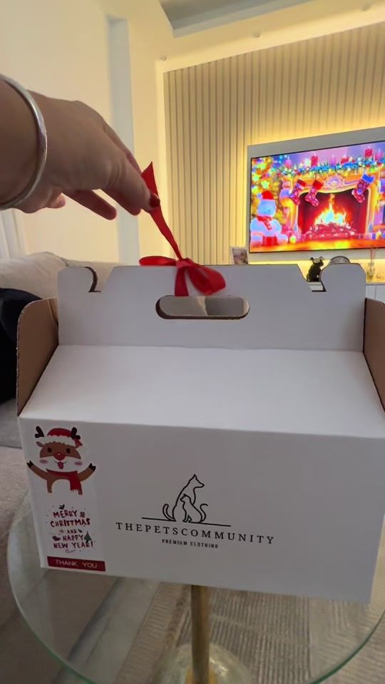 TikTok video thumbnail by vanessachaboukji1