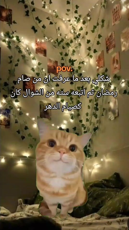TikTok video thumbnail by _ne_1d