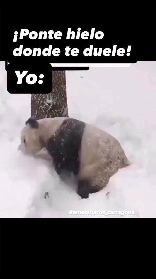 TikTok video thumbnail by burgos_39