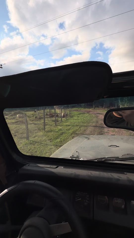 TikTok video thumbnail by jensonbracksuewai