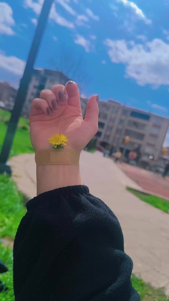 TikTok video thumbnail by flene88
